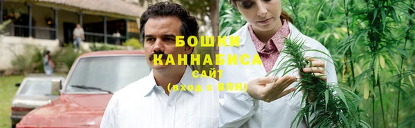 дживик Новозыбков
