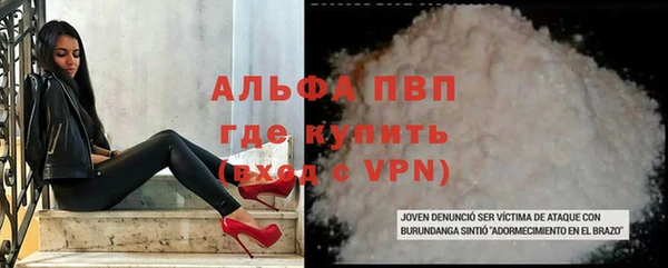 дживик Новозыбков