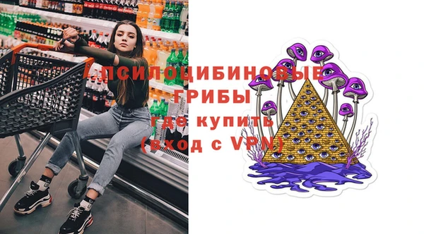гашиш Новодвинск