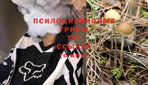 дживик Новозыбков